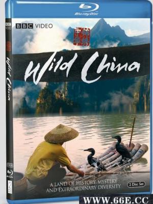 光与影